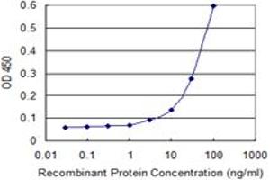 Detection limit for recombinant GST tagged TOP3B is 3 ng/ml as a capture antibody. (TOP3B 抗体  (AA 1-862))