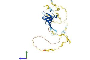 AlphaFold protein structure predicition of Human Recombinant SNRPN Protein, UniprotID P63162