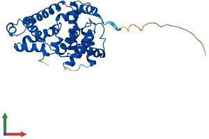 Protein Structure (PS) image for Cyclin C (CCNC) (AA 1-283) protein (His tag) (ABIN7557795)