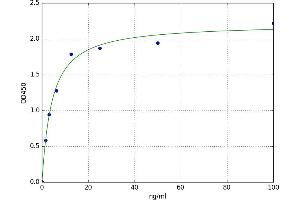 A typical standard curve (Anti Neuronal Nuclear Autoantibody 1 (ANNA1) ELISA 试剂盒)