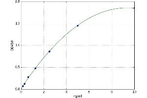 Spectrin Beta, Non-Erythrocytic 4 (SPTBN4) ELISA Kit