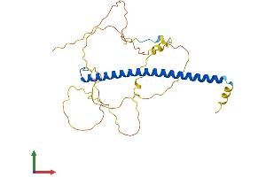 Protein Structure (PS) image for CCAAT/enhancer Binding Protein (C/EBP), epsilon (CEBPE) (AA 1-281) protein (His tag) (ABIN7558091)