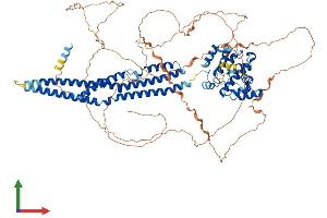 Protein Structure (PS) image for rho GTPase Activating Protein 17 (ARHGAP17) (AA 1-881) protein (His tag) (ABIN7555223)