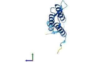 AlphaFold protein structure predicition of Mouse Recombinant Lyrm7 Protein, UniprotID Q9DA03 (LYRM7 Protein (AA 1-104) (His tag))