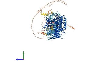 Protein Structure (PS) image for Solute Carrier Family 12 (Potassium-Chloride Transporter) Member 6 (SLC12A6) (AA 1-1150) protein (His tag) (ABIN7564864)