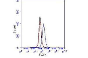 Flow Cytometry (FACS) image for anti-Cadherin 5 (CDH5) (Extracellular Domain) antibody (ABIN1105883) (Cadherin 5 抗体  (Extracellular Domain))