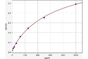 ELISA image for Solute Carrier Family 6 (Neurotransmitter Transporter, serotonin), Member 4 (SLC6A4) ELISA Kit (ABIN6970355)