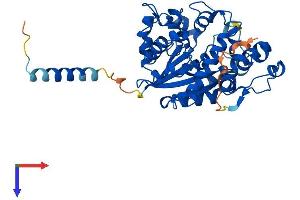 CHST5 Protein (AA 1-395) (His tag)