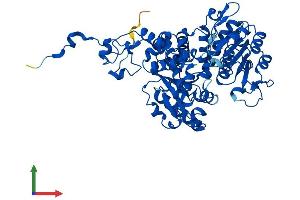 Protein Structure (PS) image for Malic Enzyme 1, NADP(+)-Dependent, Cytosolic (ME1) (AA 1-572) protein (His tag) (ABIN7562749)