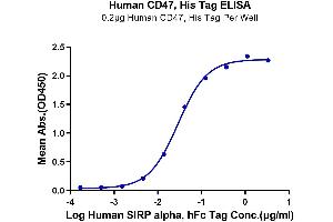 Immobilized Human CD47, His Tag at 2 μg/mL (100 μL/well) on the plate. (CD47 Protein (CD47) (AA 19-139) (His tag))