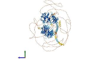 AlphaFold protein structure predicition of Human Recombinant MINK1 Protein, UniprotID Q8N4C8