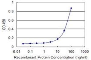 Detection limit for recombinant GST tagged MORG1 is 1 ng/ml as a capture antibody. (MORG1 抗体  (AA 171-262))