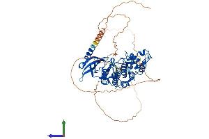 Protein Structure (PS) image for Cell Division Cycle 7 (CDC7) (AA 1-574) protein (His tag) (ABIN7553300)