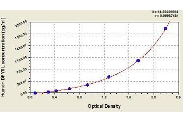 DPYSL3 ELISA 试剂盒