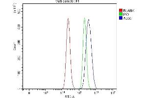 Flow Cytometry analysis of RT4 cells using anti-ALG3 antibody (ABIN7602167).