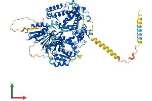 AlphaFold protein structure predicition of Human Recombinant DHX40 Protein, UniprotID Q8IX18