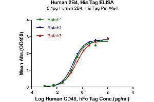 ELISA image for Natural Killer Cell Receptor 2B4 (CD244) (AA 22-221) protein (His tag) (ABIN7273780)