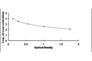 Typical standard curve (1-Desamino 8D Arginine Vasopressin ELISA 试剂盒)