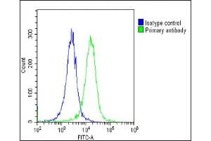 Overlay histogram showing Hela cells stained with (green line). (SH2B3 抗体  (AA 67-101))