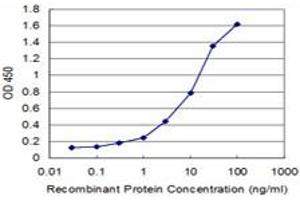 Detection limit for recombinant GST tagged RPS29 is approximately 0. (RPS29 抗体  (AA 1-56))