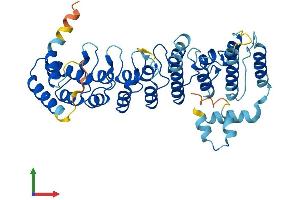 Protein Structure (PS) image for Ankyrin Repeat and SOCS Box Containing 6 (ASB6) (AA 1-418) protein (His tag) (ABIN7560160)