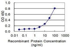 Detection limit for recombinant GST tagged MIPEP is 1 ng/mL as a capture antibody. (MIPEP 抗体  (AA 611-713))