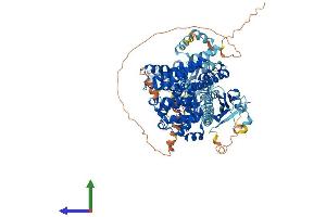 Protein Structure (PS) image for phosphodiesterase 11A (PDE11A) (AA 1-933) protein (His tag) (ABIN7554877)