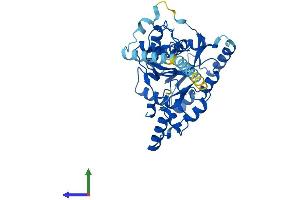 Protein Structure (PS) image for UDP-GlcNAc:betaGal beta-1,3-N-Acetylglucosaminyltransferase 5 (B3GNT5) (AA 1-376) protein (His tag) (ABIN7558594)