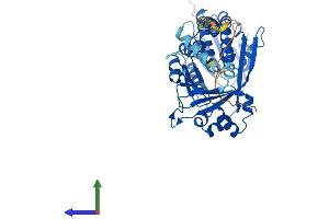 Protein Structure (PS) image for Kynurenine 3-Monooxygenase (Kynurenine 3-Hydroxylase) (KMO) (AA 1-479) protein (His tag) (ABIN7560050)