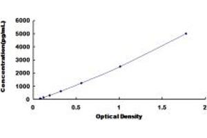 Typical standard curve (HSPG2 ELISA 试剂盒)