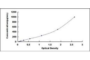 Typical standard curve (IL12B ELISA 试剂盒)