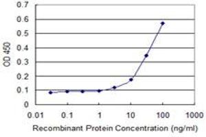 Detection limit for recombinant GST tagged PHKG2 is approximately 3ng/ml as a capture antibody. (PHKG2 抗体  (AA 1-406))