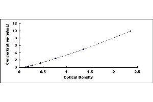 Typical standard curve (ADAM17 ELISA 试剂盒)