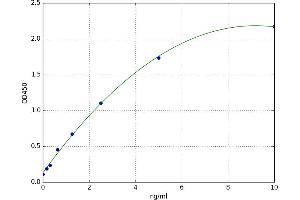 Argininosuccinate Synthase 1 (ASS1) ELISA Kit