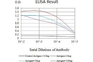 Black line: Control Antigen (100 ng),Purple line: Antigen (10 ng), Blue line: Antigen (50 ng), Red line:Antigen (100 ng) (TBP 抗体  (AA 1-144))