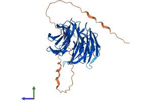 AlphaFold protein structure predicition of Mouse Recombinant Pak1ip1 Protein, UniprotID Q9DCE5