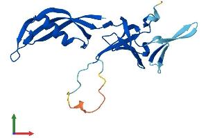 Protein Structure (PS) image for Polymerase (RNA) III (DNA Directed) Polypeptide H (22.9kD) (POLR3H) (AA 1-204) protein (His tag) (ABIN7560907)