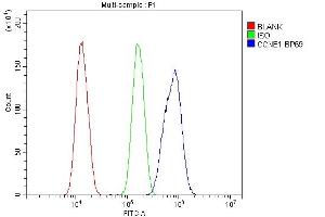 Flow Cytometry analysis of SiHa cells using anti-CCNE1 antibody (ABIN7601193).