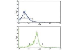 Flow Cytometry (FACS) image for anti-Wingless-Type MMTV Integration Site Family, Member 5B (WNT5B) (AA 153-182) antibody (ABIN3029636)