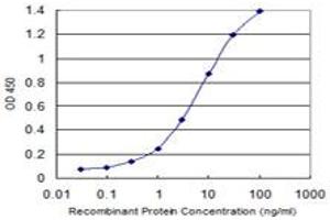 Detection limit for recombinant GST tagged TRIM55 is 0. (TRIM55 抗体  (AA 1-452))