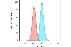 Flow Cytometric Analysis of K562 cells using RAD51 Mouse Monoclonal Antibody (RAD51/2701) followed by Goat anti-Mouse IgG-CF488 (Blue); Isotype Control (Red). (RAD51 抗体  (AA 1-134))