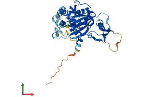 Protein Structure (PS) image for Arsenic (+3 Oxidation State) Methyltransferase (AS3MT) (AA 1-376) protein (His tag) (ABIN7560061)