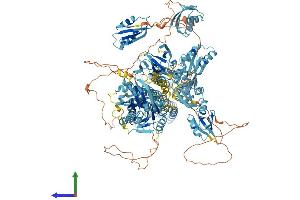 AlphaFold protein structure predicition of Human Recombinant ATP7B Protein, UniprotID P35670