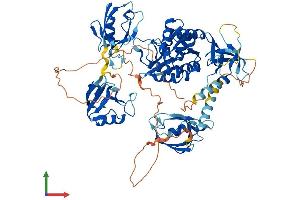 Protein Structure (PS) image for Discs, Large Homolog 4 (Drosophila) (DLG4) (AA 1-724) protein (His tag) (ABIN7563943)