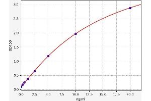 c-MYC ELISA 试剂盒