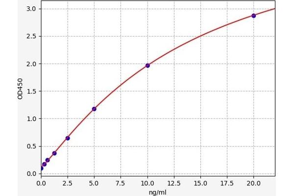 c-MYC ELISA 试剂盒