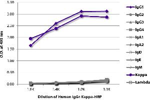 ELISA plate was coated with Mouse Anti-Human IgG1 Hinge-UNLB was captured and quantified. (Human IgG1 isotype control (HRP))
