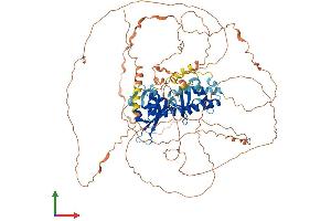 Protein Structure (PS) image for Melanoma Antigen Family D, 1 (MAGED1) (AA 1-778) protein (His tag) (ABIN7554522)