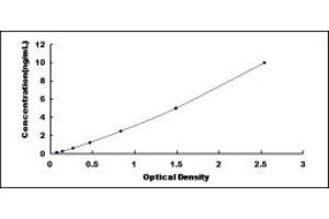 Typical standard curve (IL18RAP ELISA 试剂盒)