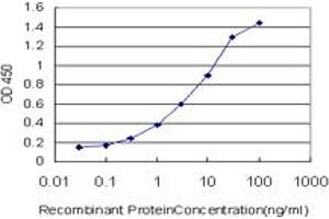 Detection limit for recombinant GST tagged CUL7 is approximately 0. (Cullin 7 抗体  (AA 1-100))